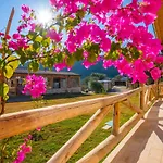 Bed & Breakfast Sedir Tas Evleri Kalkan