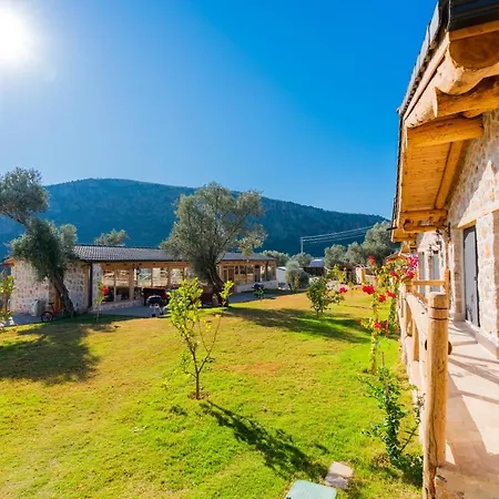 فندق مبيت وإفطار Sedir Tas Evleri كالكان
