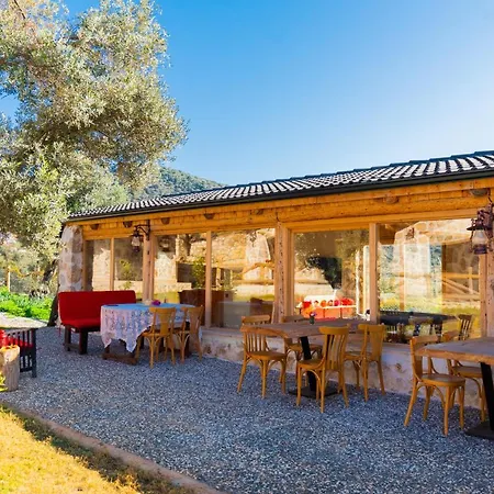 Bed & Breakfast Sedir Tas Evleri