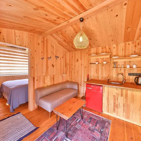 Sedir Tas Evleri Kalkan