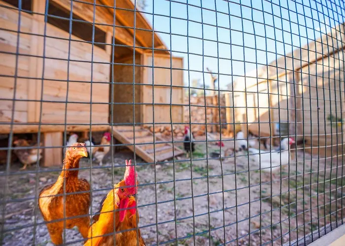 Sedir Tas Evleri Frühstückspension *